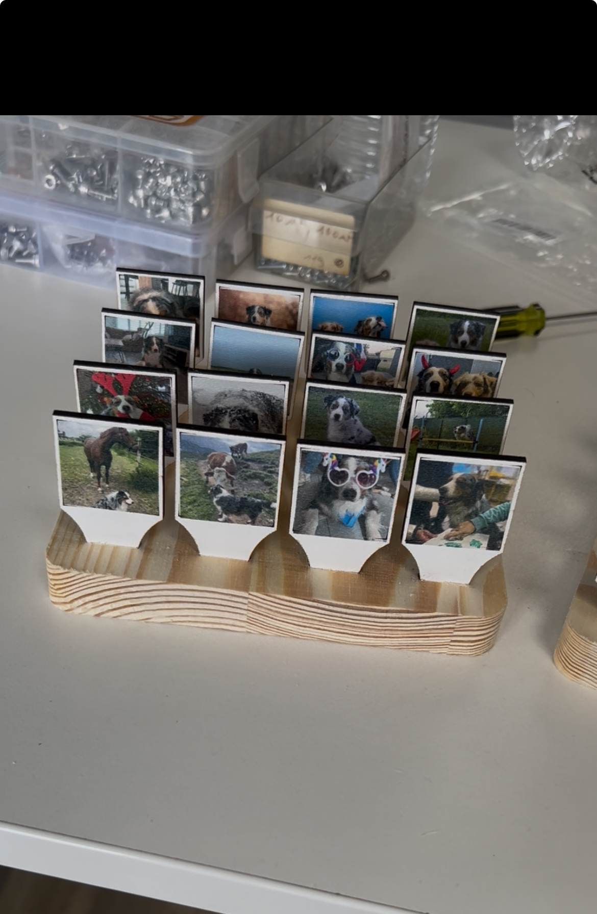 Ateliers Famille – « Jeu Qui est ce ? « 